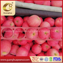 Hot Sale 2021 New Crop Fresh Apple